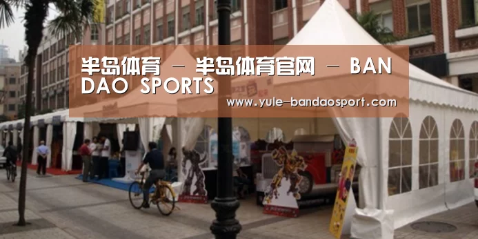 案例标题九