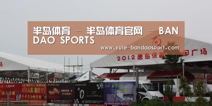 案例标题十