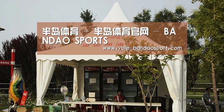 案例标题五