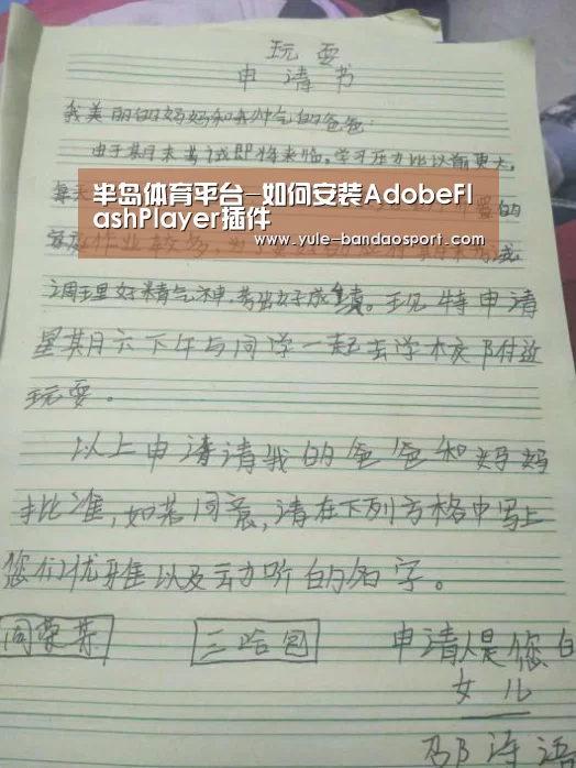 半岛体育平台-如何安装AdobeFlashPlayer插件(图1) 半岛体育官网