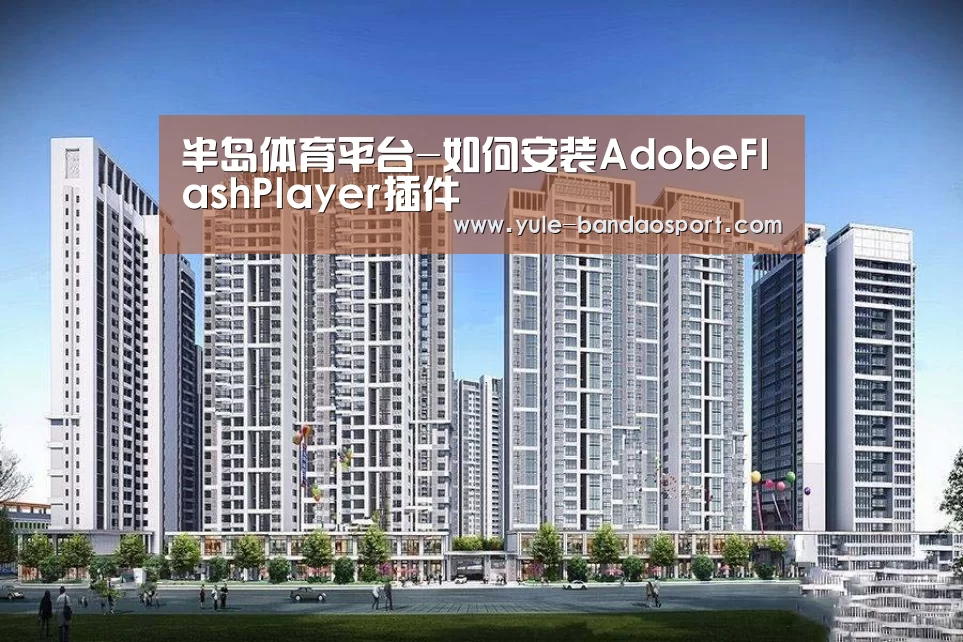 半岛体育平台-如何安装AdobeFlashPlayer插件(图3) 半岛体育平台