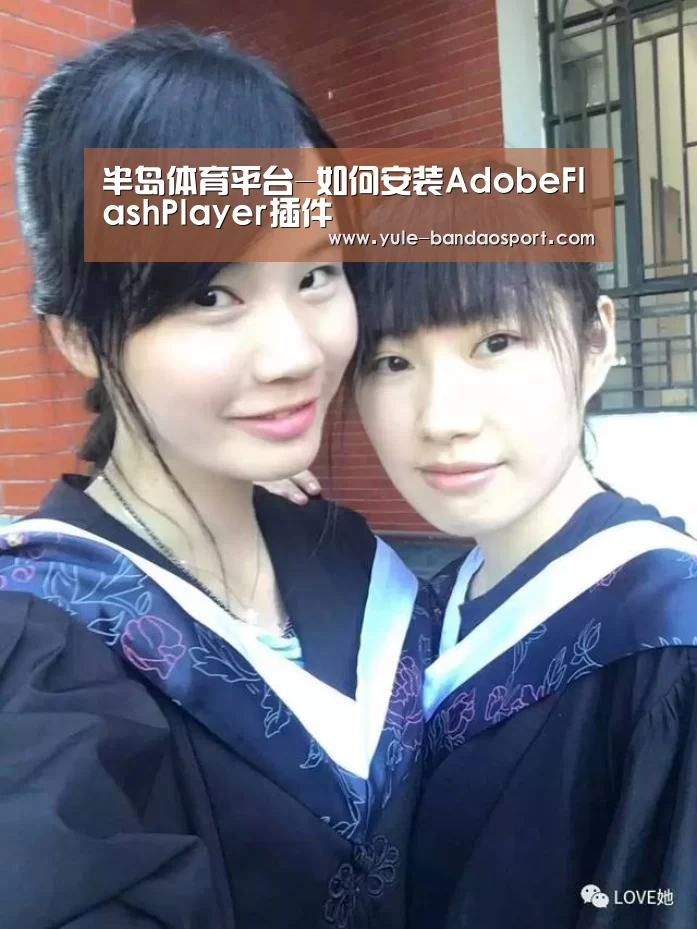 半岛体育平台-如何安装AdobeFlashPlayer插件(图2) 半岛体育