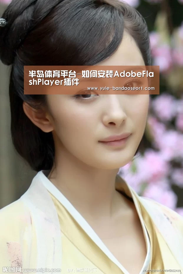 半岛体育平台-如何安装AdobeFlashPlayer插件(图4) 半岛app